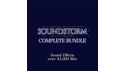 SOUNDSTORM SOUNDSTORM FX BUNDLE V1808 の通販