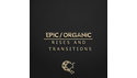 CINETOOLS EPIC RISES & ORGANIC TRANSITIONS の通販
