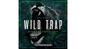 PRODUCTION MASTER WILD TRAP FOR DISTRO ★BLACK OCTOPUS & PRODUCTION MASTER GWセール！最大50% OFF！の通販