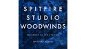 SPITFIRE AUDIO SPITFIRE STUDIO WOODWINDS の通販