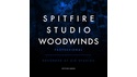 SPITFIRE AUDIO SPITFIRE STUDIO WOODWINDS PROFESSIONAL の通販