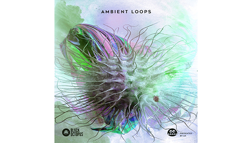 BLACK OCTOPUS AMBIENT LOOPS BY AK ★BLACK OCTOPUS & PRODUCTION MASTER GWセール！最大50% OFF！