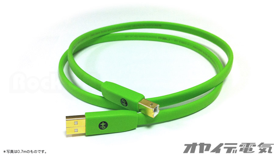 USBケーブル OYAIDE d+USB class B （1.0m） | Rock oN Line eStore
