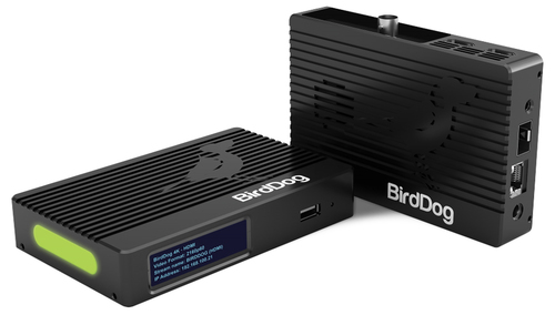NewTek  BirdDog 4K HDMI - HDMI2.0, 4Kp60 NDI Encoder/Decode 