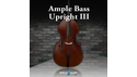 AMPLE SOUND AMPLE BASS UPRIGHT III の通販