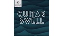 IN SESSION AUDIO GUITAR SWELL の通販