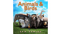 SOUND IDEAS ANIMALS & BIRDS SFX SERIES の通販
