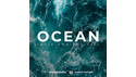 BIG FISH AUDIO OCEAN - INDIE AMBIENT KITS の通販