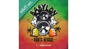 BIG FISH AUDIO BABYLON: ROOTS REGGAE MMT の通販