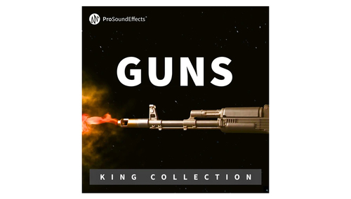 Pro Sound Effects King Collection: Guns 