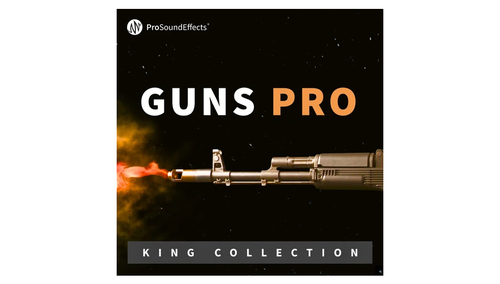 Pro Sound Effects King Collection: Guns Pro 