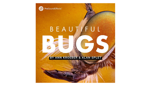 Pro Sound Effects Beautiful Bugs 