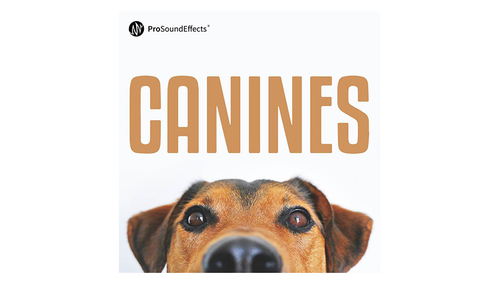 Pro Sound Effects Canines 