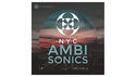 Pro Sound Effects NYC Ambisonics の通販