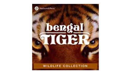 Pro Sound Effects Wildlife Collection: Bengal Tiger 