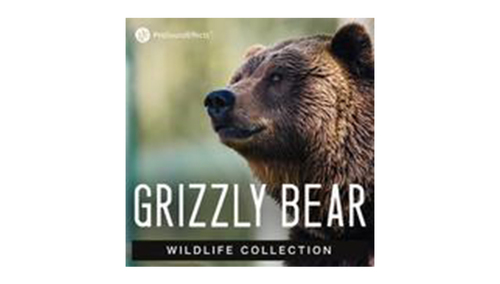Pro Sound Effects Wildlife Collection: Grizzly Bear 