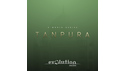 EVOLUTION SERIES WORLD STRINGS TANPURA の通販