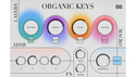 UVI Organic Keys for Falcon ★UVI 春セール！4/1までの通販