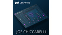 LEAPWING AUDIO JOE CHICCARELLI の通販