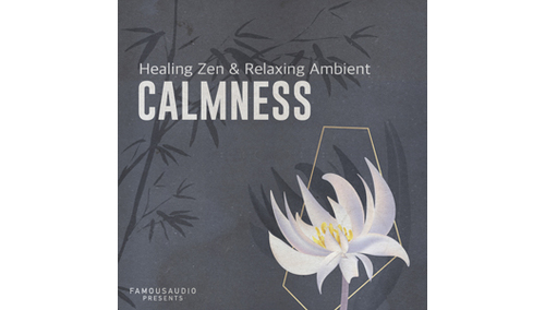 FAMOUS AUDIO CALMNESS - HEALING ZEN & RELAXING AMBIENT 