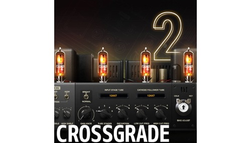 POSITIVE GRID Crossgrade BIAS FX 2 Std to BIAS AMP 2 Pro 