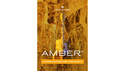 UJAM Virtual Guitarist AMBER 2 ★UJAM Golden Group Buyの通販