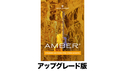 UJAM Virtual Guitarist AMBER 2 アップグレード の通販