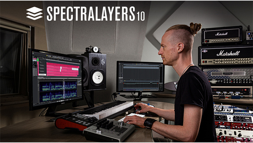 STEINBERG SpectraLayers 10 Pro 
