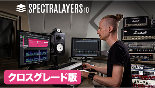 STEINBERG SpectraLayers Pro 10 Crossgrade 