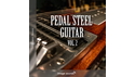 IMAGE SOUNDS PEDAL STEEL GUITAR 2 の通販