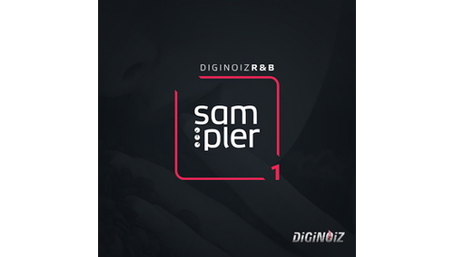 DIGINOIZ DIGINOIZ R&B SAMPLER 1 