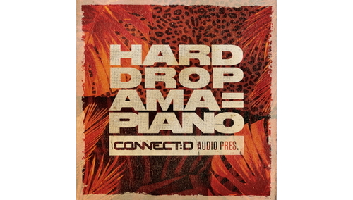 CONNECT:D AUDIO HARD DROP AMAPIANO 