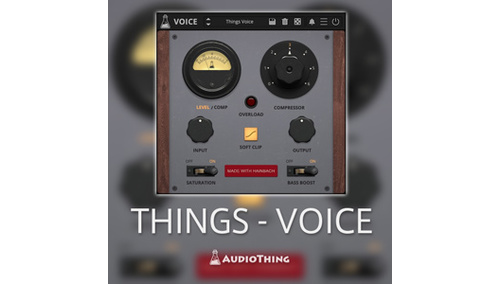 AUDIOTHING THINGS - VOICE 