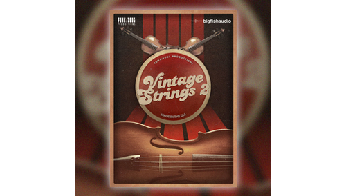 BIG FISH AUDIO VINTAGE STRINGS 2 