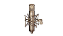 Peluso Microphone Lab P-12 ☆VOVOX Sonorus direct S 3.5mプレゼント！の通販