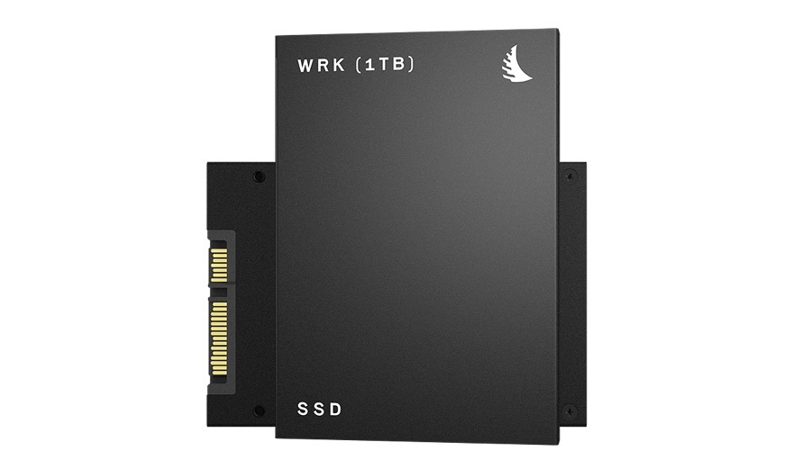 Angel bird ssd wrk for mac download Angel bird ssd wrk for mac download