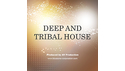 BLUEZONE DEEP AND TRIBAL HOUSE の通販