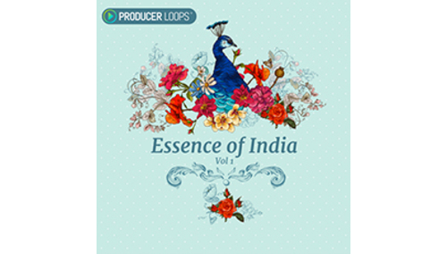 PRODUCER LOOPS ESSENCE OF INDIA VOL 1 