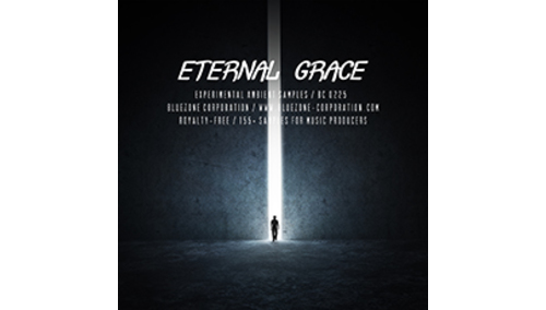 BLUEZONE ETERNAL GRACE - EXPERIMENTAL AMBIENT SAMPLES ★BLUEZONE GWセール！全製品が一律20% OFF！