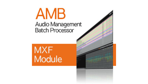 NUGEN Audio AMB MXF Module 