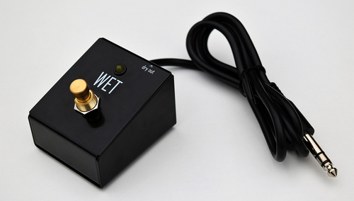 GAME CHANGER AUDIO FOOT SWITCH FOR PLUS PEDAL 