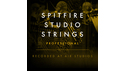 SPITFIRE AUDIO SPITFIRE STUDIO STRINGS PROFESSIONAL / CG の通販